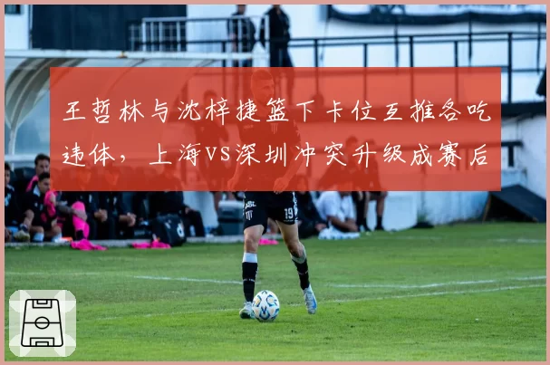王哲林与沈梓捷篮下卡位互推各吃违体，上海vs深圳冲突升级成赛后焦点