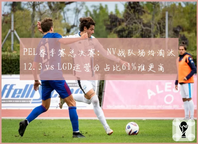 PEL春季赛总决赛：NV战队场均淘汰12.3 vs LGD运营分占比61%谁更高效