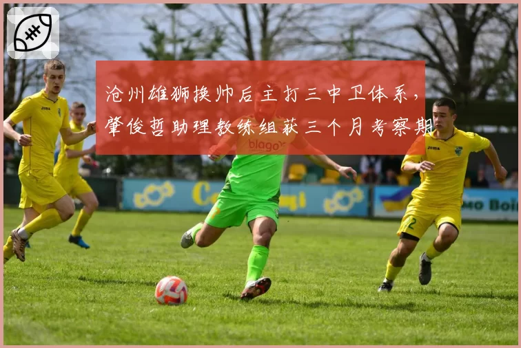 沧州雄狮换帅后主打三中卫体系,肇俊哲助理教练组获三个月考察期