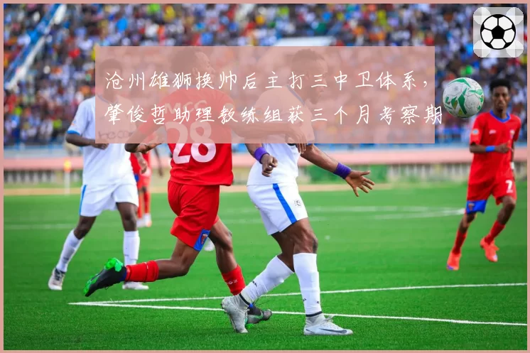 沧州雄狮换帅后主打三中卫体系,肇俊哲助理教练组获三个月考察期
