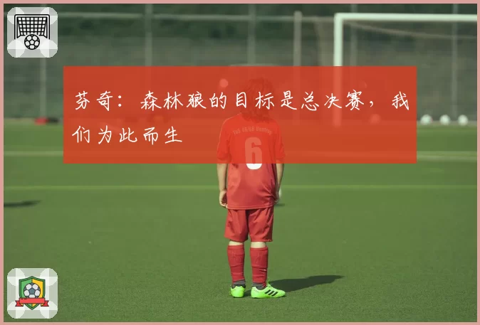 芬奇:森林狼的目标是总决赛,我们为此而生